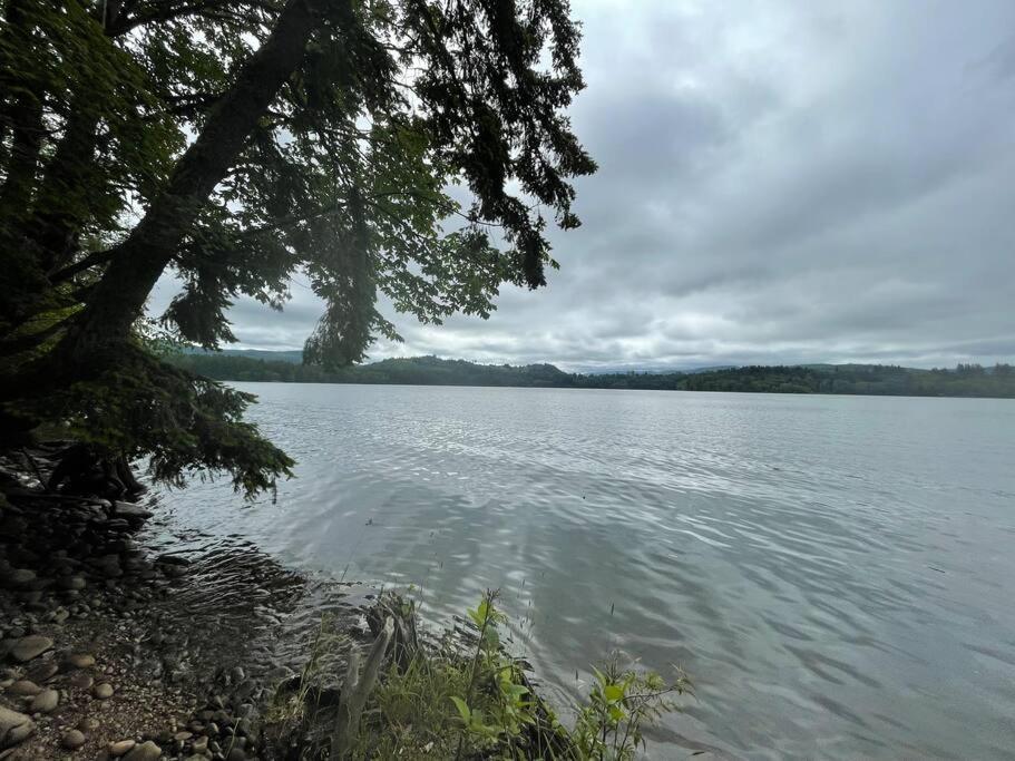 Romantic Cozy Cabin Walk To Lake Hot Tub Bikes Kayaks Grill Onalaska Exteriér fotografie